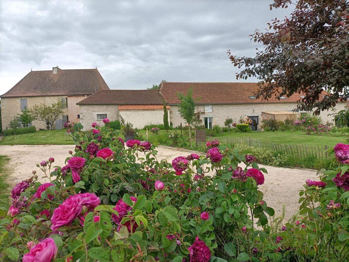 La Grange Des Anges Villa Blanc  Exterior foto